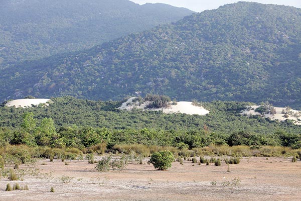 phu yen makes site clearance promise