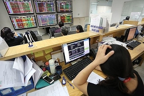 vn index hits new high on pmi result