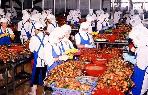 Fruit exports chief concern for provinces
