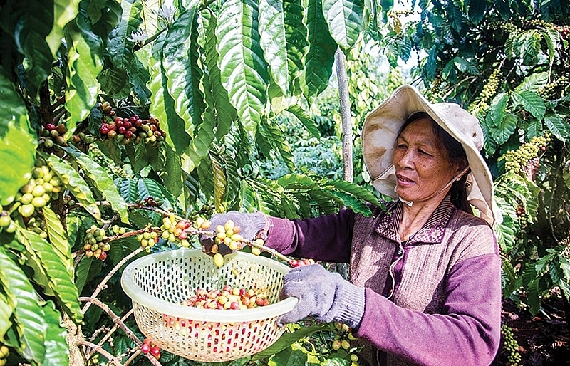 Bayer’s contributions to a sustainable Vietnam