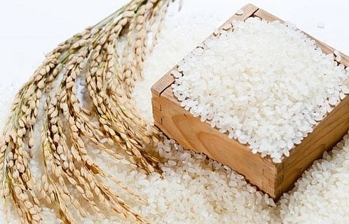 Agriculture ministry proposes maintaining sticky rice exports