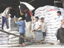 Vietnam bites into rice market