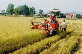 Vietnam seeks agro-forestry boost for Italy