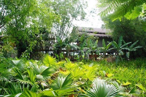sustainable eco-tourism branched out in quang nam province hinh 0