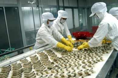 new project targets competitive seafood sector hinh 0