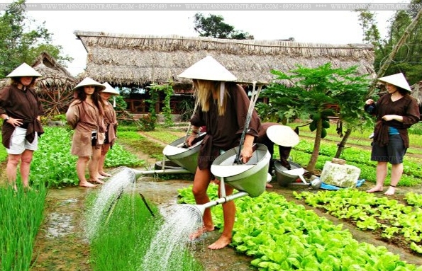 Vietnam’s agritourism aims to tap massive potential