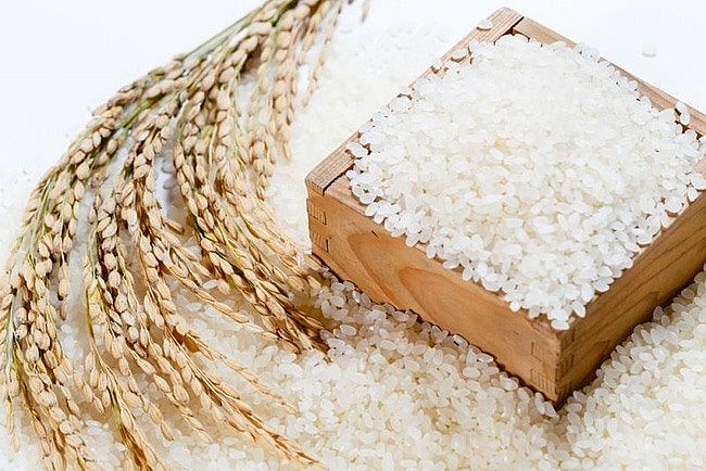 mard issues regulations on vietnam rice national brand