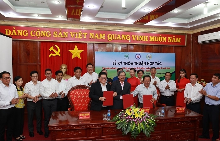 C.P. Vietnam joins Binh Phuoc to develop safe chicken production chain