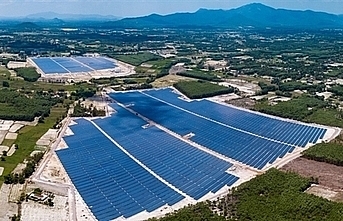 Binh Dinh solar power plant joins national grid