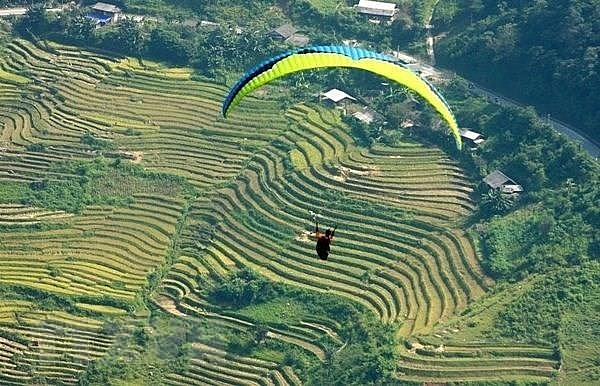 yen bai paragliding festival becomes signature tourism product