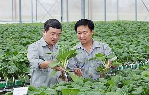 Hanoi seeks investment for 11 farming projects