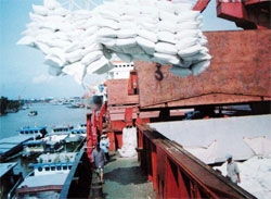 Rice companies need certificates to export