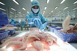 tra fish gets export price increase