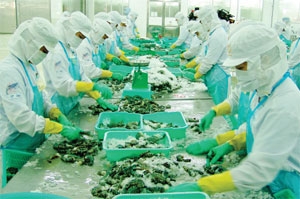 Shrimp exporters getting frazzled