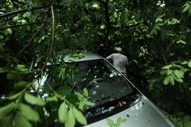 Người dân xung quanh đang dùng dao chặt bớt cành cây để giải cứu cho chiếc ôtô bị cành cây to đè lên sau cơn mưa dông gần phố Phạm Ngọc Thạch- Ảnh: NGUYỄN KHÁNH