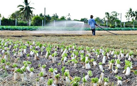 Australia seeks hi-tech agriculture link with Can Tho