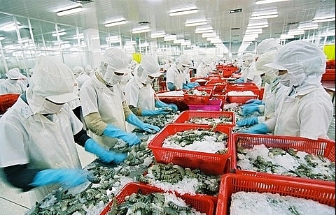 VASEP urges Gov’t to protect Vietnam shrimp