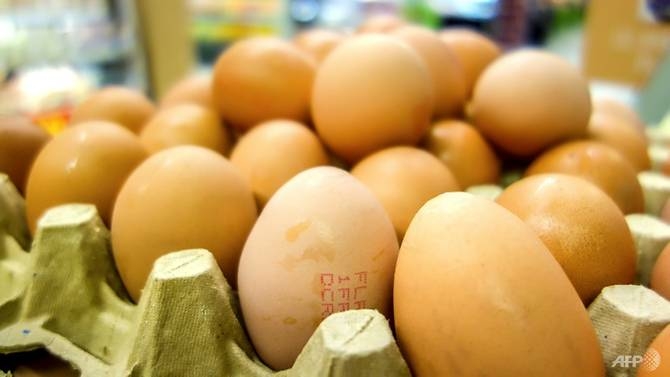 more than four million eggs recalled in poland