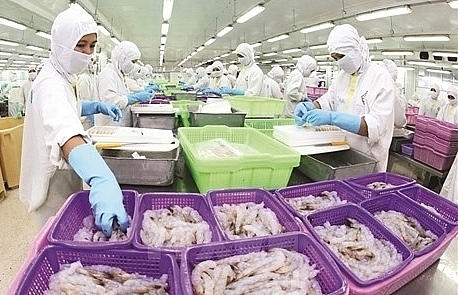 VASEP urges boosting shrimp exports to US