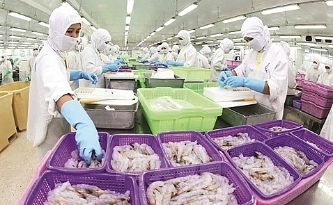 vasep urges boosting shrimp exports to us