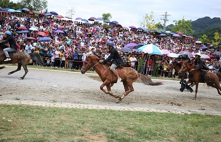Sapa to host debut Fansipan horse race
