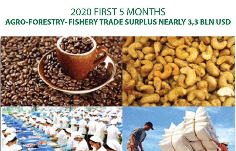 Five-month agro-forestry-fishery trade surplus nearly 3.3bn USD (Infographics)