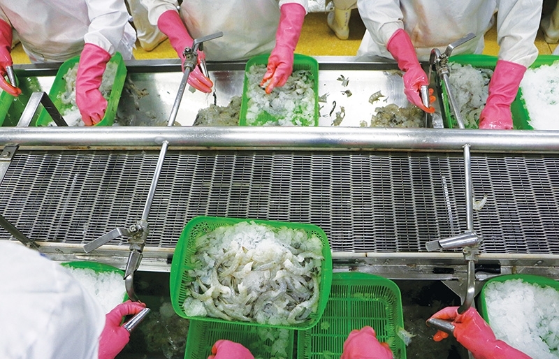 Seafood exports to glide in shallow waters