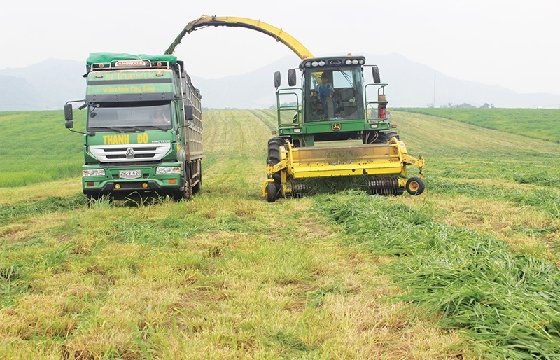 Agricultural ventures stack up despite lack of profit guarantee