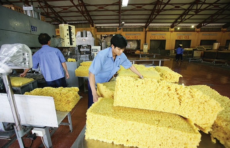 Vietnam urged to upgrade to attract big rubber funding