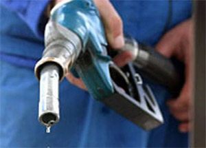 deputy pm asks for complete petrol bill revisions