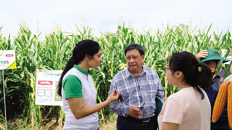 tech can improve competitiveness of vietnams corn
