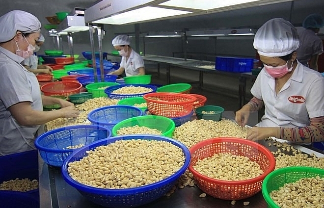 US-China trade war to hurt or benefit Vietnam agriculture?