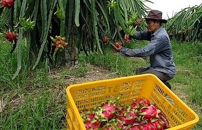 US continues to be key export market for Vietnam