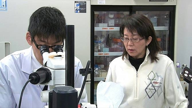 japan to start worlds first human trial using stem cell to treat parkinsons