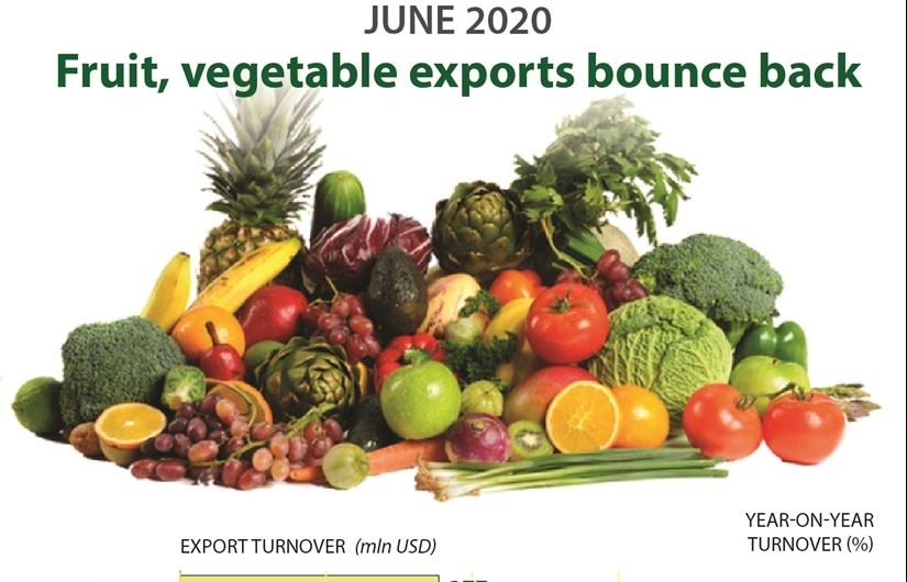 Fruit, vegetable exports bounce back (Infographics)