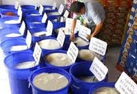Thai rice dealers warn against gov't price hike