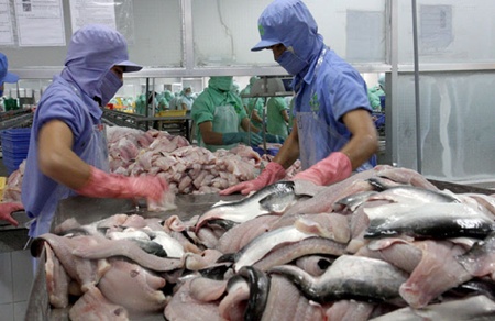 tra fish production up but prices fall