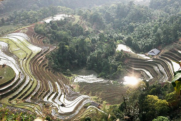 not just terraced rice fields in hoang su phi