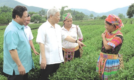 tuyen quang urged to reinforce political system party building