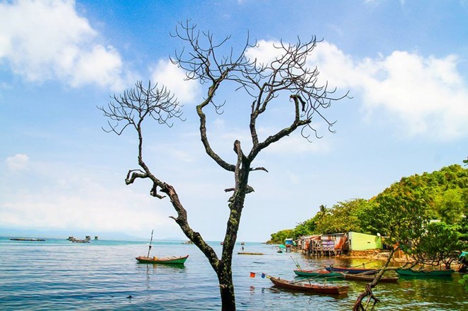 Photos: Eight newly discovered islands in Vietnam, hon ngu, nam du, dao chim