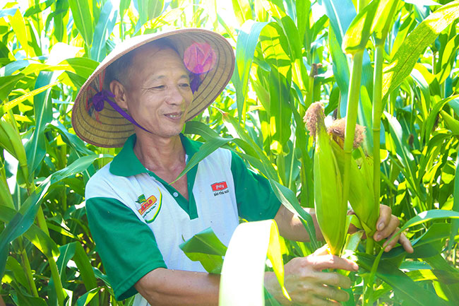 Corporate-governmental cooperation to better farmer’s lives