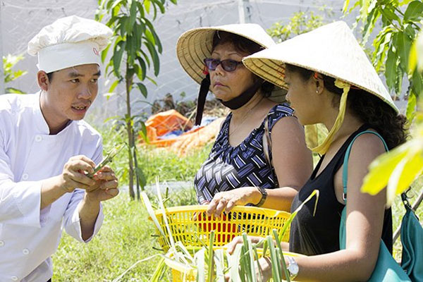 Cu Chi clean vegetable farm, foreign visitors, local farmers