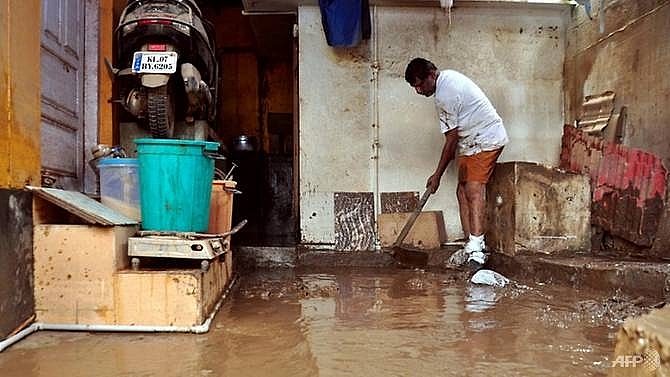 snake alert issued in indias flood hit kerala