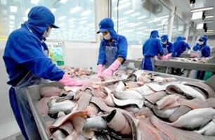 us imposes zero dumping tax on vietnamese tra fish