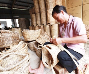 Bamboo sector is ready to bend with the times