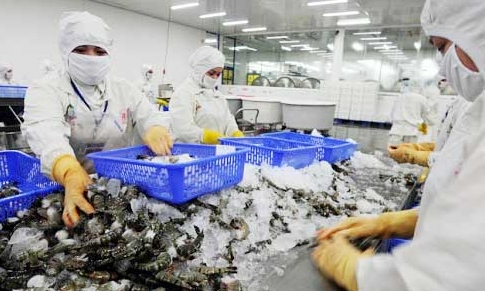 us says vietnam shrimp imports do not hurt its industry