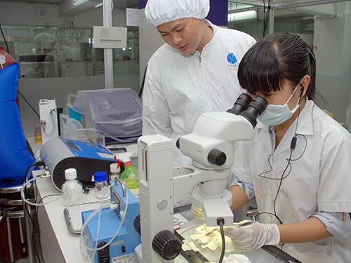 vietnamese scholars win four us scientific research awards