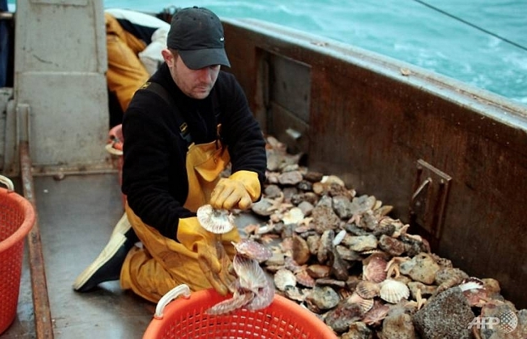 French navy 'ready to intervene' in scallops row with UK fishermen