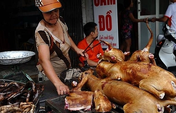 Hanoi urges residents to stop eating dog meat