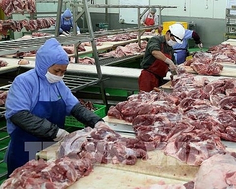 vietnam suspends pork imports from hungary and poland